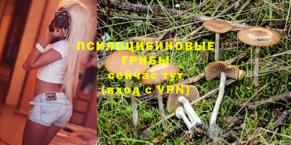 молекула духа Покачи