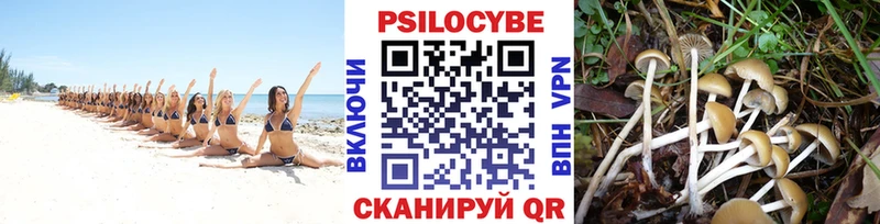 Галлюциногенные грибы мухоморы  Чегем 