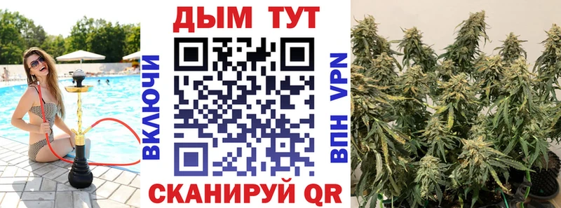 Марихуана тримм Чегем